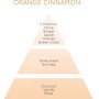 Lampe Berger 500ml/16.9-Fluid Ounces, Orange Cinnamon Parfum De Maison