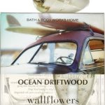 Bath & Body Works Wallflowers Home Fragrance Refill Bulbs Ocean Driftwood 2 Pack