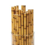 Bamboo Paper Straws (24 Pack) 7 3/4"