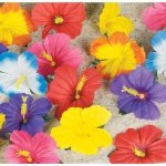 Hibiscus Flowers for Tabletop Decoration (24)