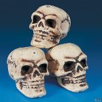Halloween Skeleton Skulls