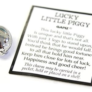 Lucky Little Pig With Story Card (Pig Measures about 3/4 long) by Ganz