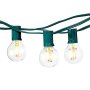 Brightech Ambience PRO LED Indoor / Outdoor Commercial Grade Globe Light Strand with G40 Natural Warm White LED Bulbs - 1 Watt LED Bulbs Included, 26 Foot Strand - Forest Green