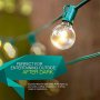 Brightech - Ambience - Outdoor String Lights with 25 G40 Clear Globe Bulbs - Commercial Quality - UL Listed - Indoor and Outdoor Use - Natural Warm White Light - Green Wire